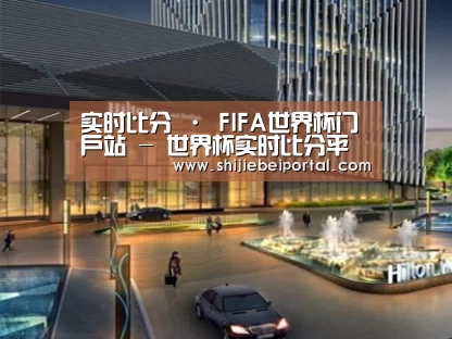 案例展示二