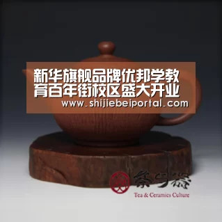 新华旗舰品牌优邦学教育百年街校区盛大开业 试听课让学生难忘:实时比分(图4) 实时比分